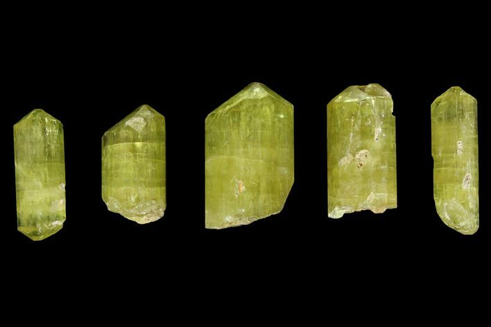 Five Yellow Apatite Crystals (over ) - Morocco #143084